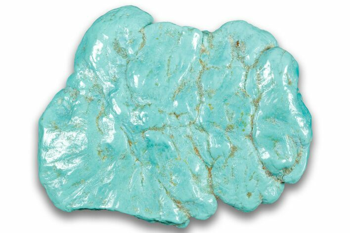 Polished Chilean Turquoise ( grams) Nugget #324113